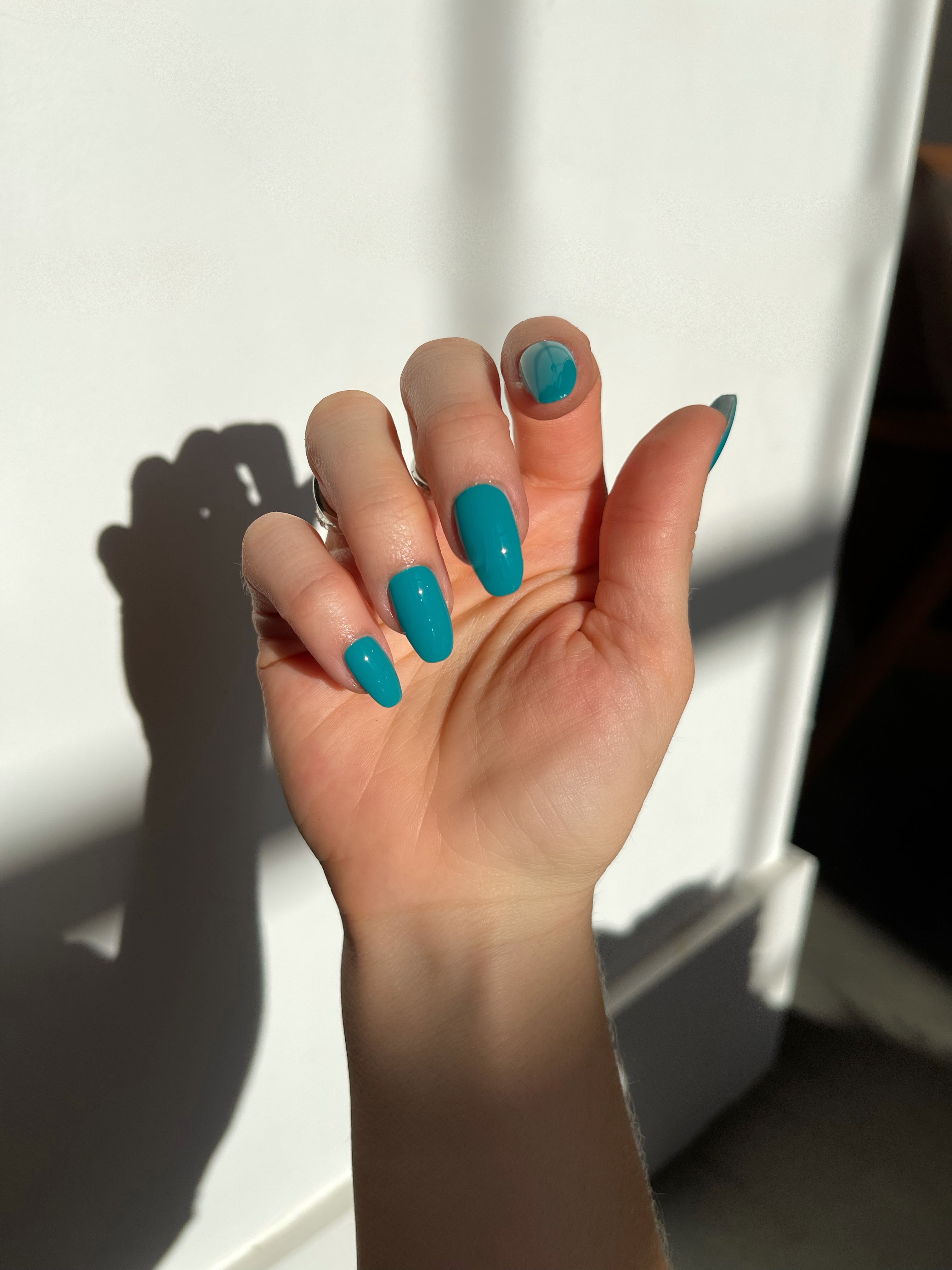 Bondi