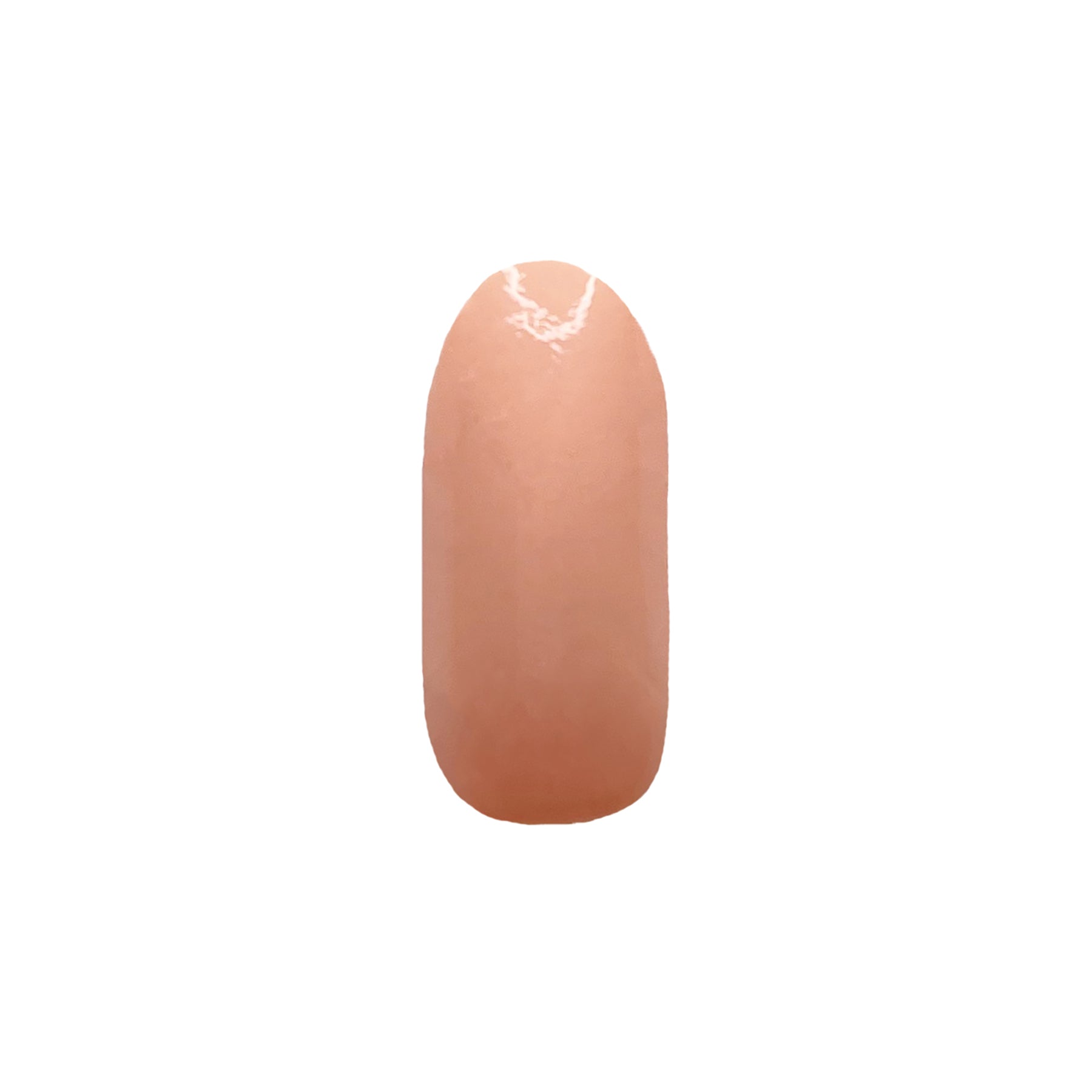 Cantaloupe