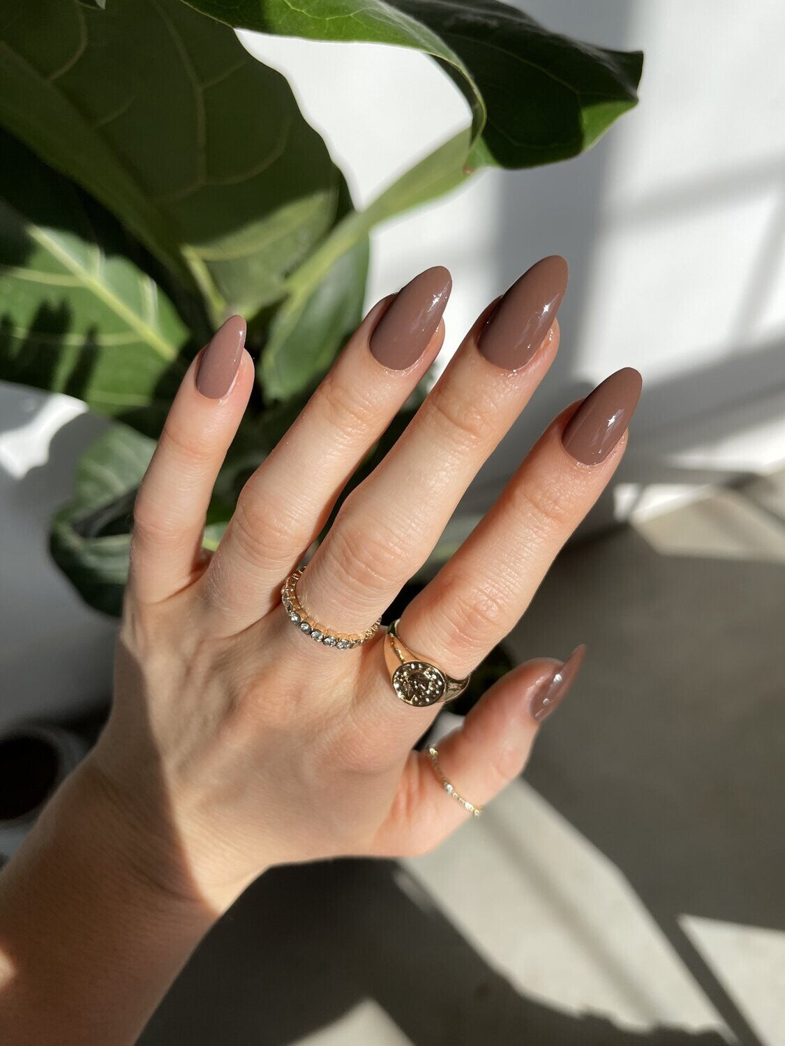 Chocolate Truffle