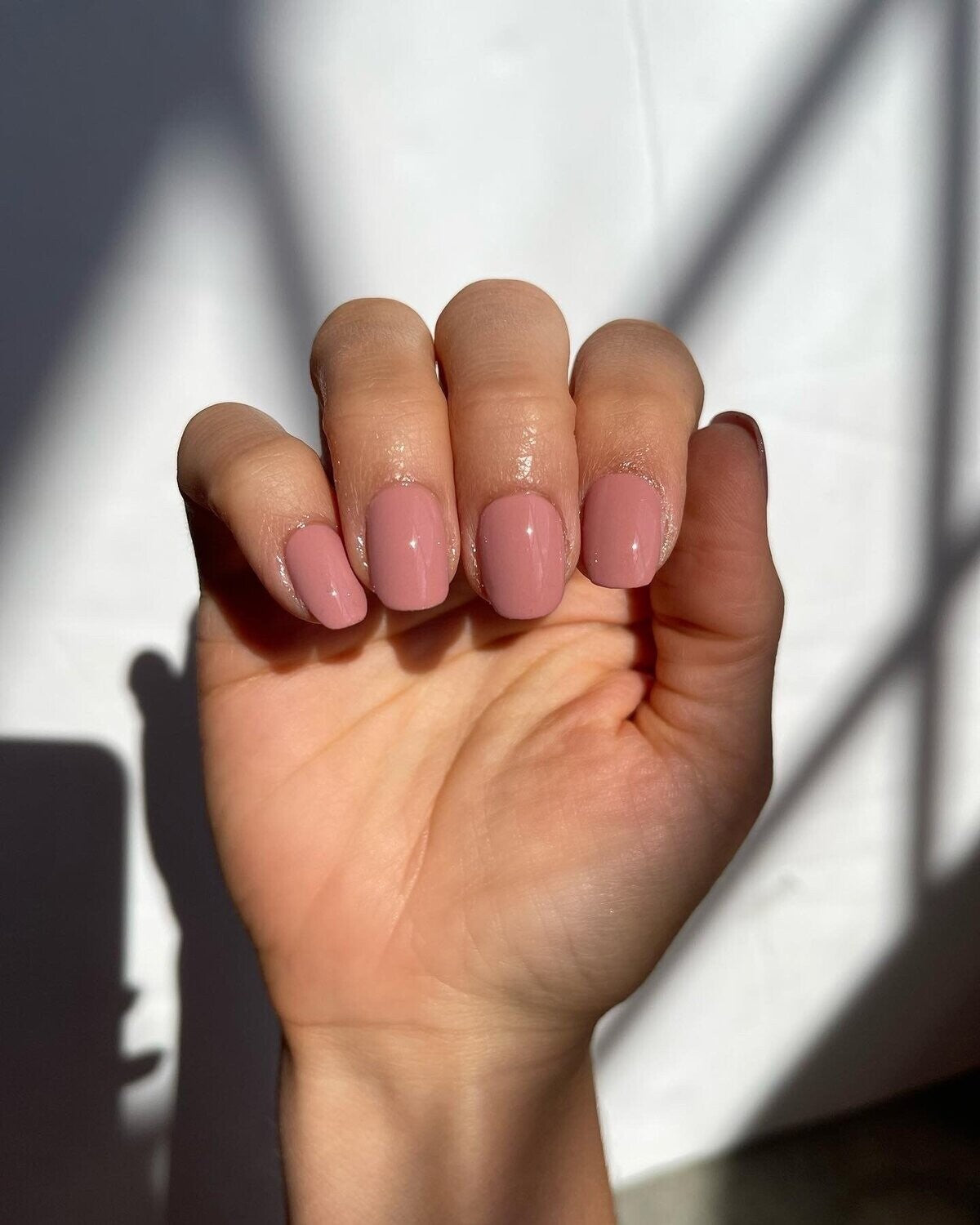 Dusty Rose